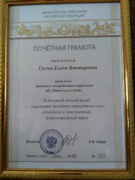 Почетная грамота Министерства энергетики Российской Федерации как главная награда за добросовестный труд