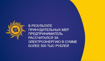 В результате принудительных мер предприниматель рассчитался за электроэнергию в сумме более 500 тыс рублей