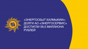 «Энергосбыт Калмыкии»: долги АО «Энергосервис» достигли 59,5 миллиона рублей