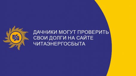 ​Дачники могут проверить долги своих кооперативов на сайте Читаэнергосбыта