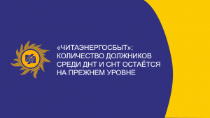 ​«Читаэнергосбыт»: Количество должников среди ДНТ и СНТ остается на прежнем уровне