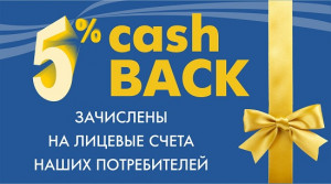 Акция: Гарантирующий поставщик спишет пени и зачислит 5% на счет при подключении услуги «Автоплатеж»