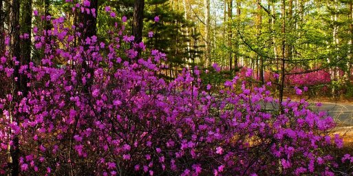 Определены победители краевого фотоконкурса «Родина малая моя!»