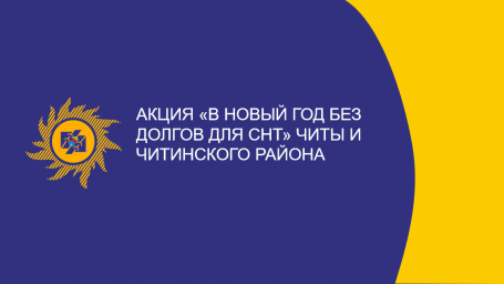 ​Уникальную акцию по списанию пени дачным кооперативам Читы запустил «Читаэнергосбыт» перед Новым годом (6+)