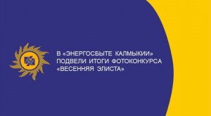 В «Энергосбыте Калмыкии» подвели итоги фотоконкурса «Весенняя Элиста»