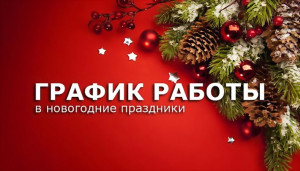 График работы в новогодние праздники 2019 года