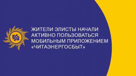 Жители Элисты начали активно пользоваться мобильным приложением «Читаэнергосбыт»