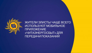 Мобильное приложение «Читаэнергосбыт»: чаще всего элистинцы используют сервис для передачи показаний