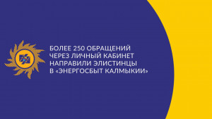 Более 250 обращений через личный кабинет направили элистинцы в «Энергосбыт Калмыкии»